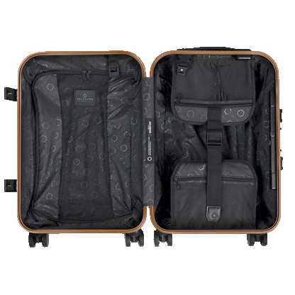 Carry-On Closet Original